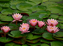 %_tempFileName05-20060625-0197%