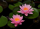 %_tempFileName08-20090628-0347%