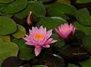 %_tempFileName09-20090628-0348%