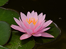 %_tempFileName10-20090628-0349%