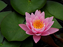 %_tempFileName12-20090725-0293%