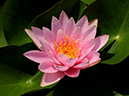 %_tempFileName13-20110814-0421%