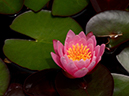 %_tempFileName14-20120623-0268%
