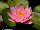 %_tempFileName15-20120812-0402%