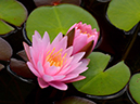 %_tempFileName16-20120819-0280%