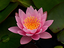 %_tempFileName17-20140706-0245%