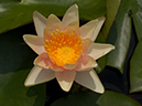 %_tempFileName09-20040630-0150%