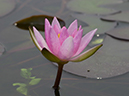 %_tempFileName03-20010610-0129%