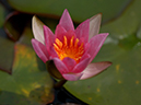 %_tempFileName07-20030721-0170%