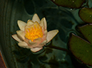 %_tempFileName05-20150621-0380%