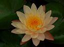 %_tempFileName07-20060820-0306%