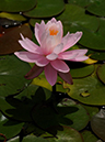 %_tempFileName01-20090711-0526%