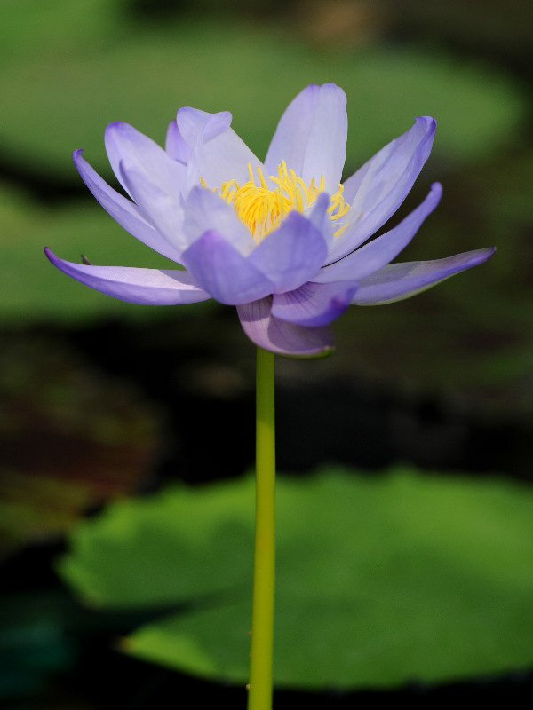%_tempFileName90-20120219-0172%