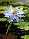 %_tempFileName49-20051030-0039%
