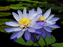 %_tempFileName84-20101121-0040%