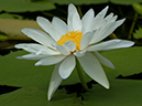 %_tempFileName37-20030831-0007%