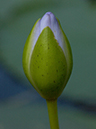 %_tempFileName41-20031101-0173%