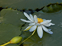 %_tempFileName75-20041103-0501%