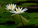 %_tempFileName071-20050312-0022%