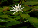 %_tempFileName081-20050724-0271%