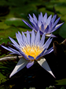 %_tempFileName32-20050410-0045%