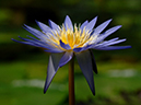 %_tempFileName37-20050925-0078%