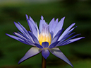 %_tempFileName45-20051224-0100%
