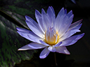 %_tempFileName53-20060227-0161%