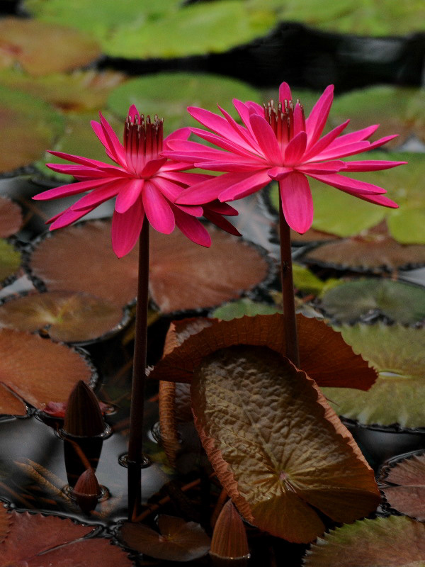 %_tempFileName76-20120318-0002%