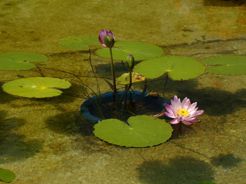 %_tempFileName41-20050827-0073%
