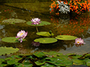 %_tempFileName51-20050910-0043%