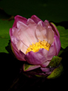 %_tempFileName97-20070225-0007%