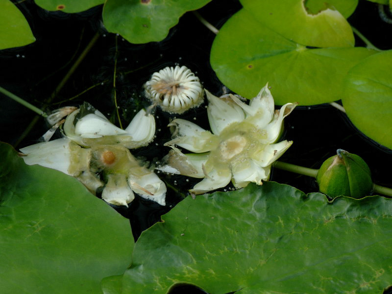 %_tempFileName40-20060809-0156%