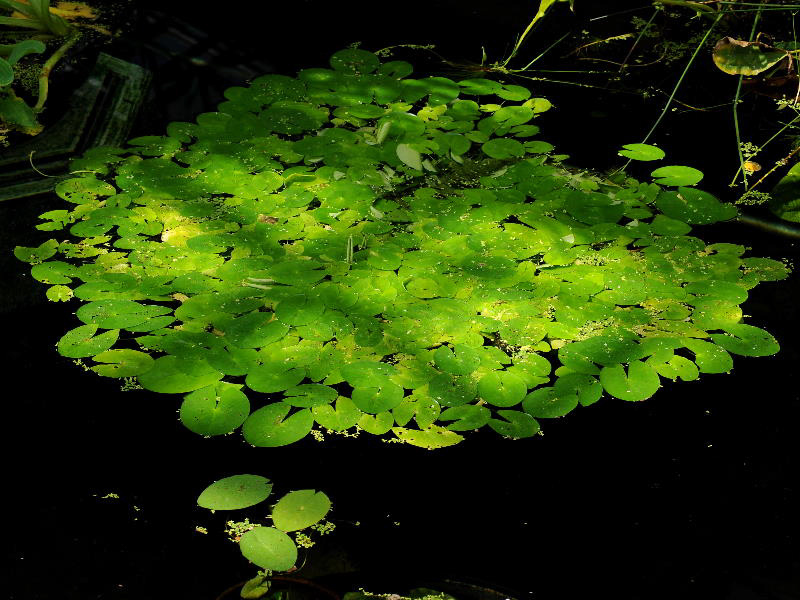 %_tempFileName51-20090315-0153%