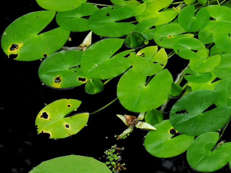 %_tempFileName62-20100627-0106%