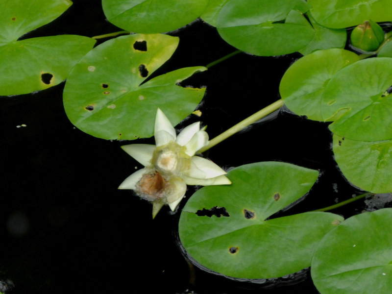 %_tempFileName64-20100711-0127%
