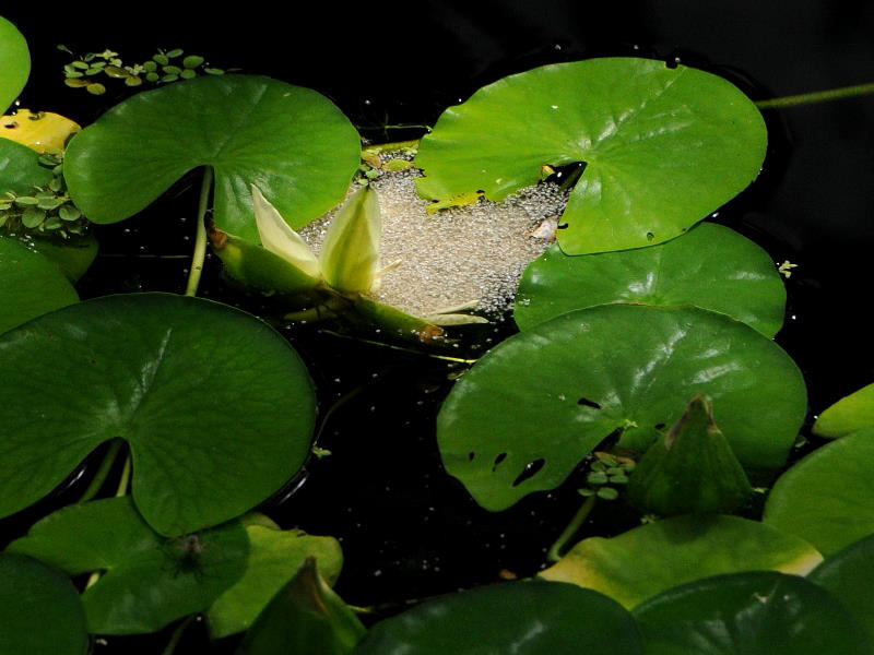 %_tempFileName67-20100808-0156%