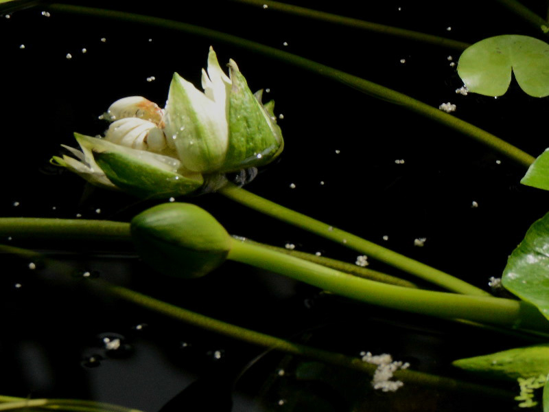 %_tempFileName71-20120902-0088%