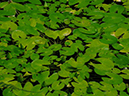 %_tempFileName13-20060618-0104%