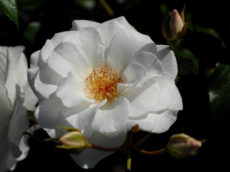 %_tempFileName40-20070616-0740%