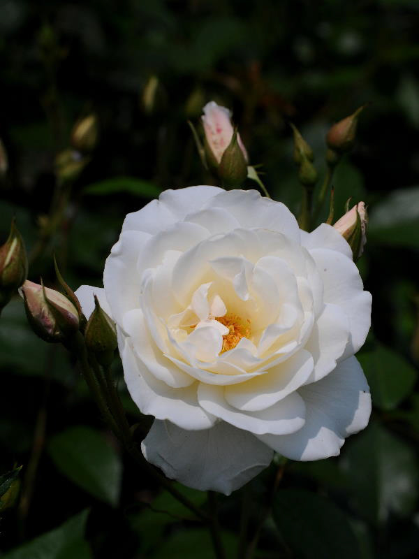 %_tempFileName47-20080517-0358%