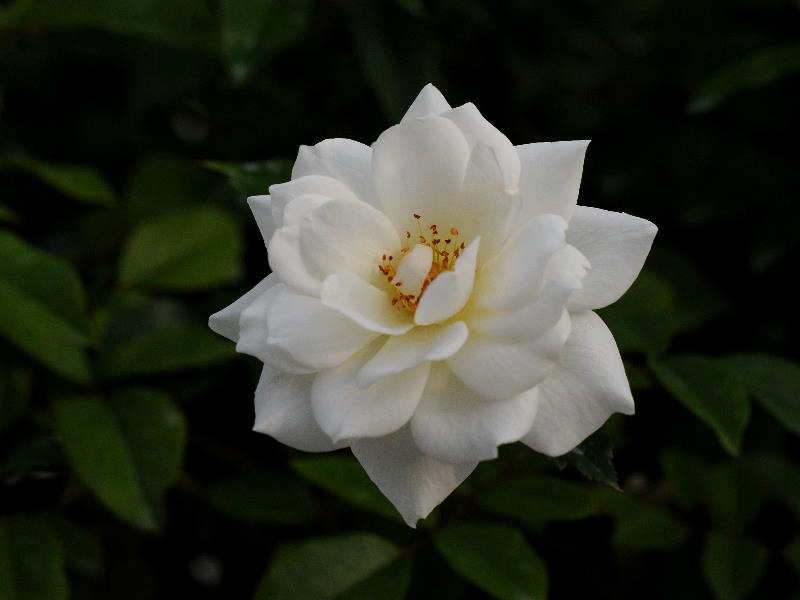 %_tempFileName70-20111017-0024%