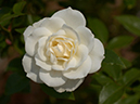 %_tempFileName20-20031031-0137%