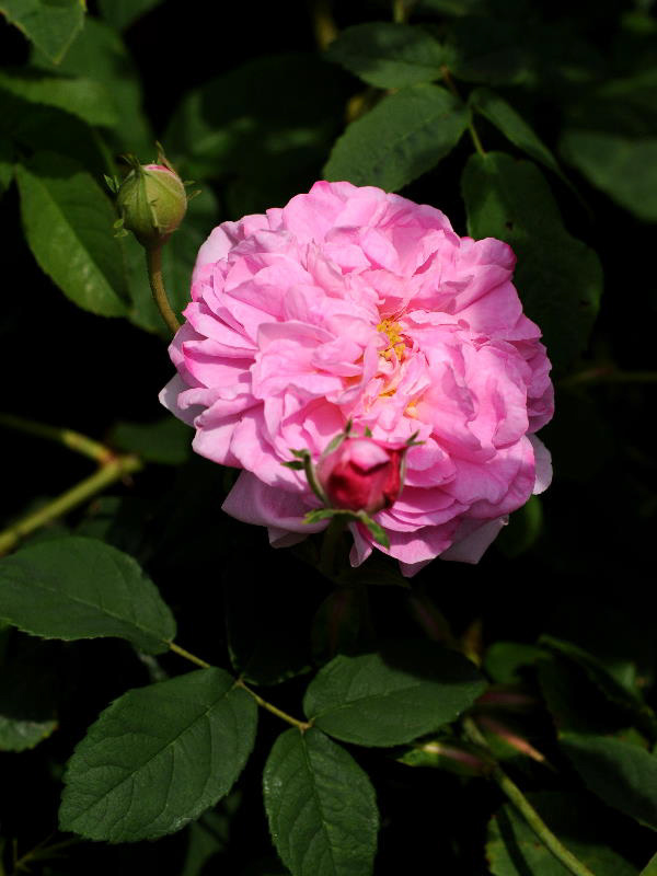 %_tempFileName72-20100606-0523%