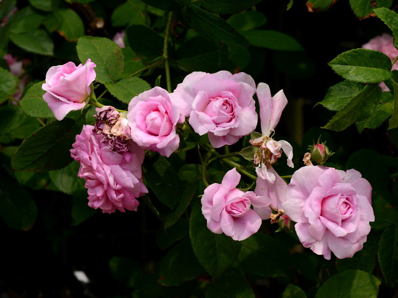 %_tempFileName87-20120602-0224%