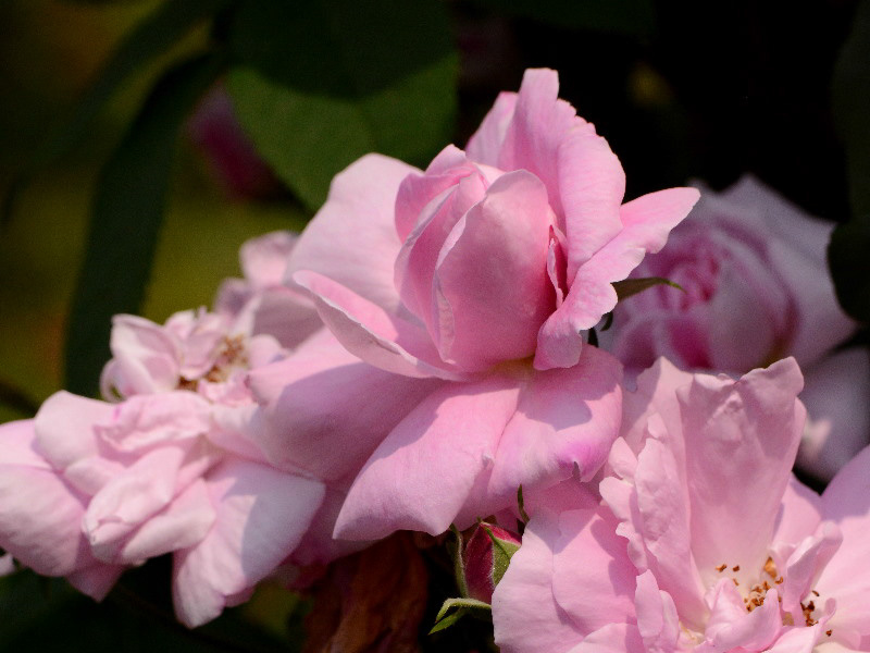 %_tempFileName93-20130526-1417%
