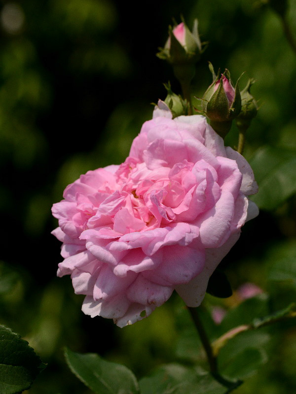 %_tempFileName98-20140531-0609%
