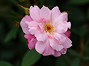%_tempFileName44-20060610-0597%