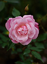 %_tempFileName60-20061118-0133%