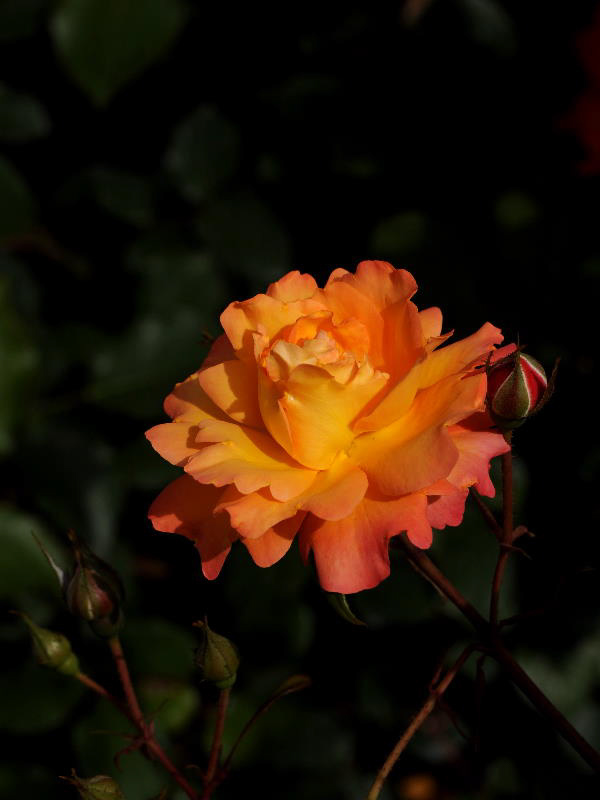%_tempFileName32-20100515-0280%